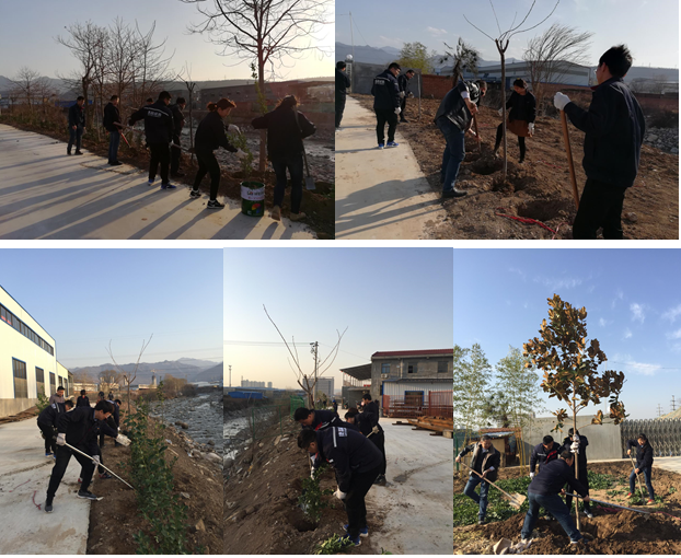 寶雞捷銳“迎春風，綠家園”植樹節(jié)(圖1)