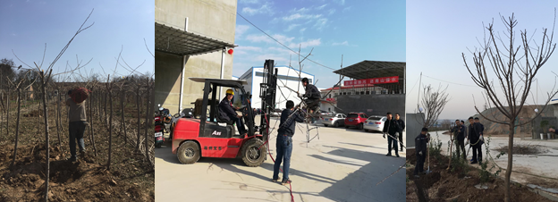 寶雞捷銳“迎春風，綠家園”植樹節(jié)(圖2)