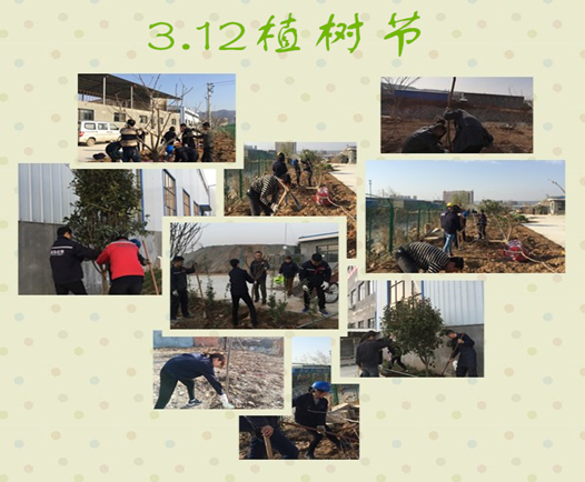 寶雞捷銳“迎春風，綠家園”植樹節(jié)(圖3)